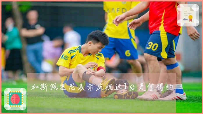 加斯佩里尼表示庆祝这1分是值得的