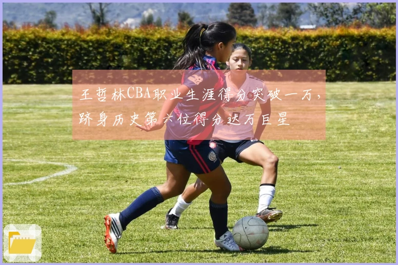 王哲林CBA职业生涯得分突破一万，跻身历史第六位得分达万巨星